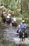 Forever Florida Horseback Safari